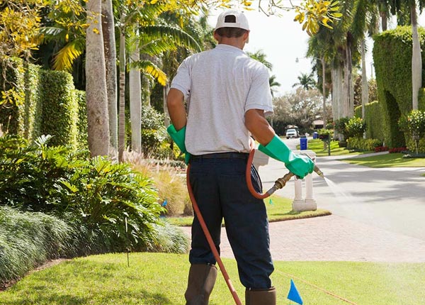 About Montpelier VT Pest Control
